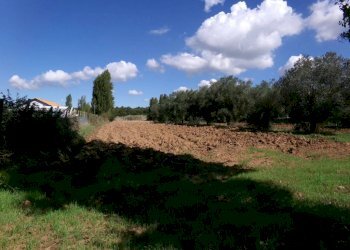 Terreno - Agricultural land Stradone del Sandalo, Anzio - photo 5