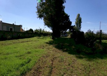 Terreno - Agricultural land Stradone del Sandalo, Anzio - photo 6