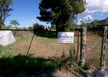 Terreno - Agricultural land Stradone del Sandalo, Anzio - photo 9