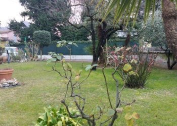 thumbnail_4fbb7cdf-81d8-45ab-bf35-bf73b022d3b0.jpg - Casa semi indipendente CORSO 40, Luni - foto 15