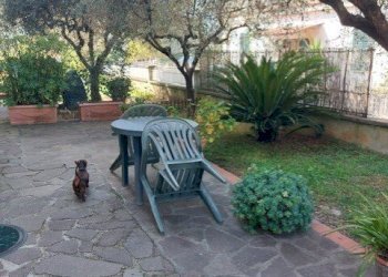 thumbnail_d77114fe-2637-4f10-86a3-3d43aa90008a.jpg - Casa semi indipendente CORSO 40, Luni - foto 29