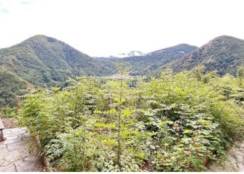 Vista - Independent house piazza Vittorio Emanuele, 4, Valle Cannobina - photo 6