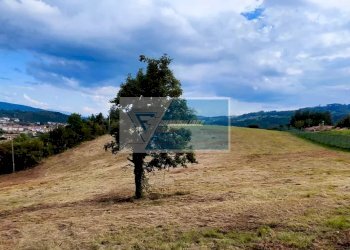 Terreno edificabile Pratovecchio Stia - foto 5