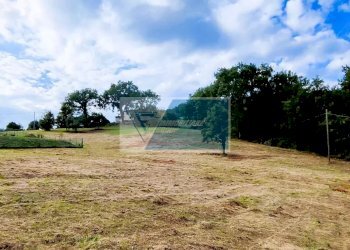 Terreno edificabile Pratovecchio Stia - foto 9