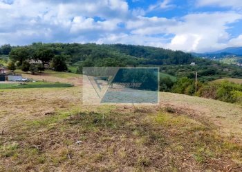 Terreno edificabile Pratovecchio Stia - foto 14