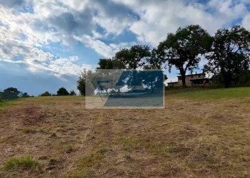 Terreno edificabile Pratovecchio Stia - foto 18