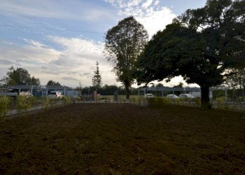 Villa None, San Lazzaro di Savena - foto 20