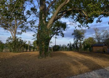 Villa None, San Lazzaro di Savena - foto 23