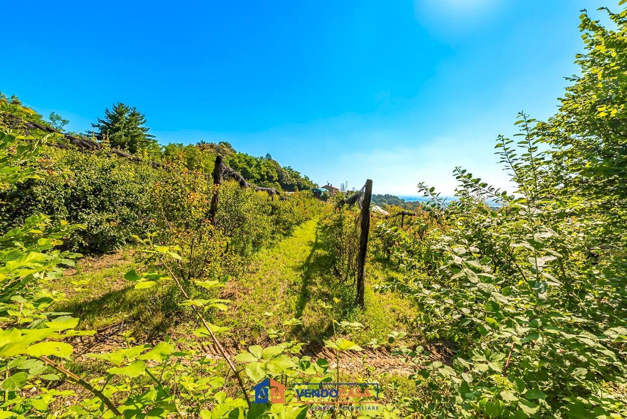 Terreno agricolo Saluzzo - foto 3