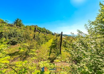 Terreno agricolo Saluzzo - foto 3