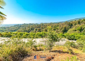 Terreno agricolo Saluzzo - foto 4