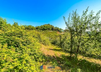 Terreno agricolo Saluzzo - foto 6