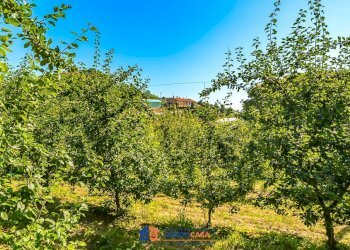 Terreno agricolo Saluzzo - foto 8