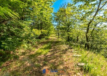 Independent house Brondello - photo 9