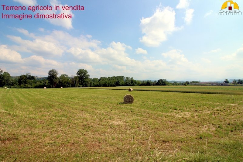 Terreno agricolo Mondovì - foto 2