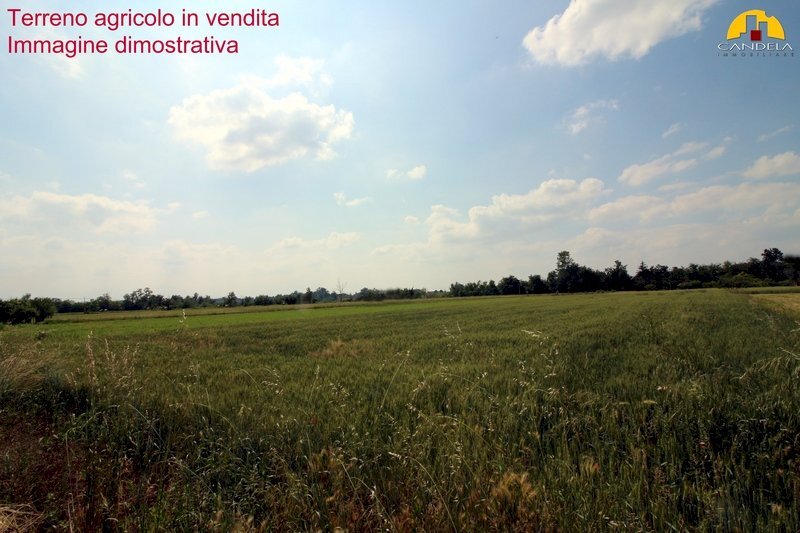 Terreno agricolo Mondovì - foto 3