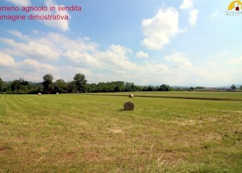 Terreno agricolo Mondovì - foto 2