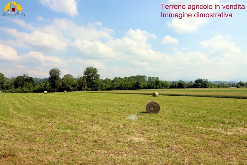 Terreno agricolo Mondovì - foto 1