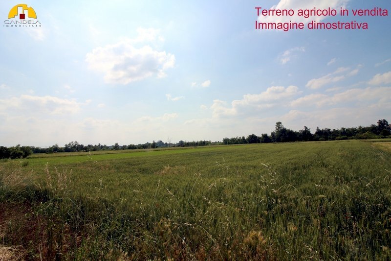 Terreno agricolo Mondovì - foto 2