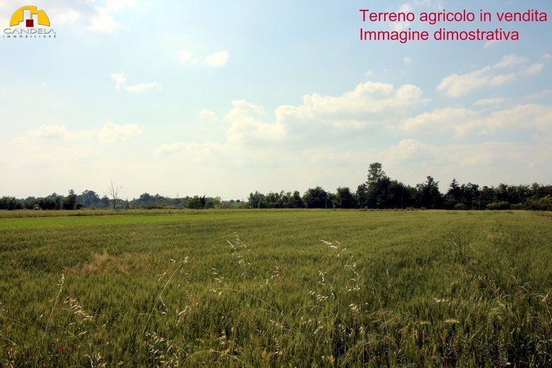 Terreno agricolo Mondovì - foto 3