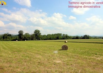 Terreno agricolo Mondovì - foto 1