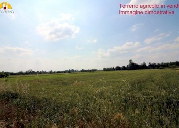 Terreno agricolo Mondovì - foto 2