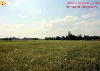 Terreno agricolo Mondovì - foto 3