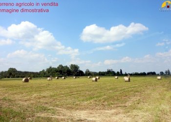 Terreno agricolo Mondovì - foto 4