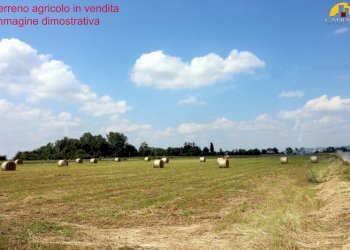 Terreno agricolo Mondovì - foto 5
