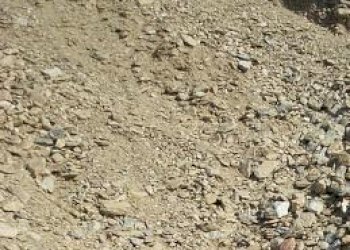 Terreno agricolo Mondovì - foto 2