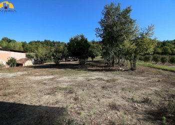 Rustic Mondovì - photo 5