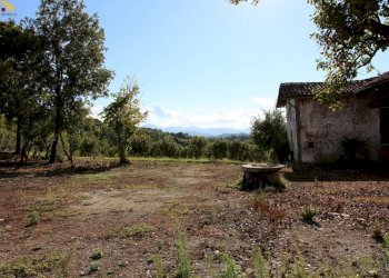Rustic Mondovì - photo 12