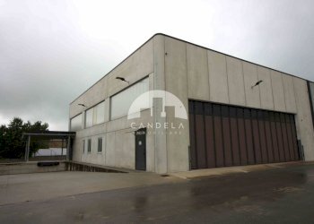 Capannone Villanova Mondovì - foto 3