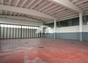 Capannone Villanova Mondovì - foto 7