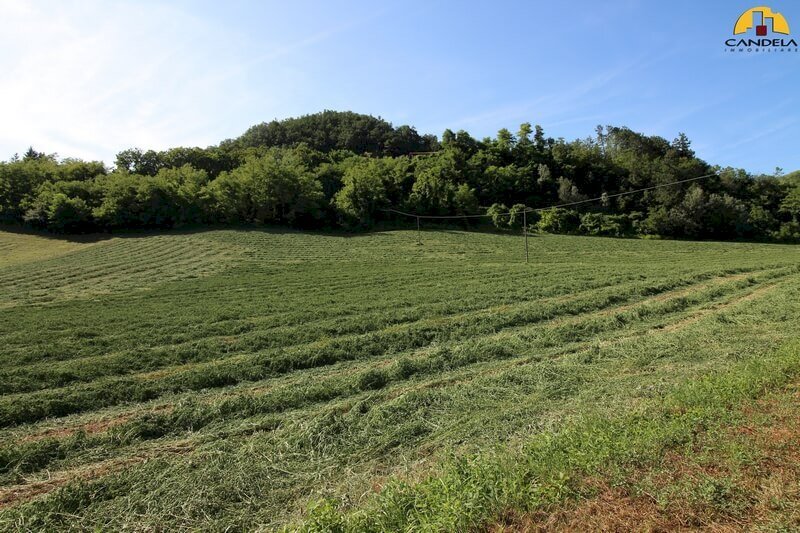 Agricultural land Marsaglia - photo 3