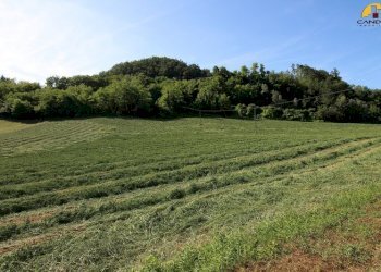 Agricultural land Marsaglia - photo 3