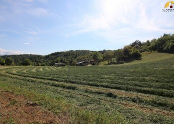 Agricultural land Marsaglia - photo 4