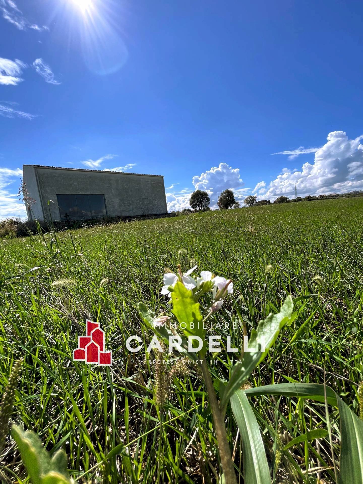 Rustic Porto Sant'Elpidio - photo 2