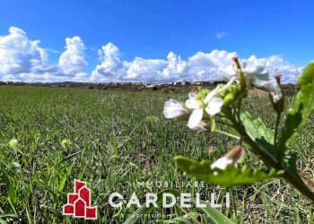 Rustic Porto Sant'Elpidio - photo 22