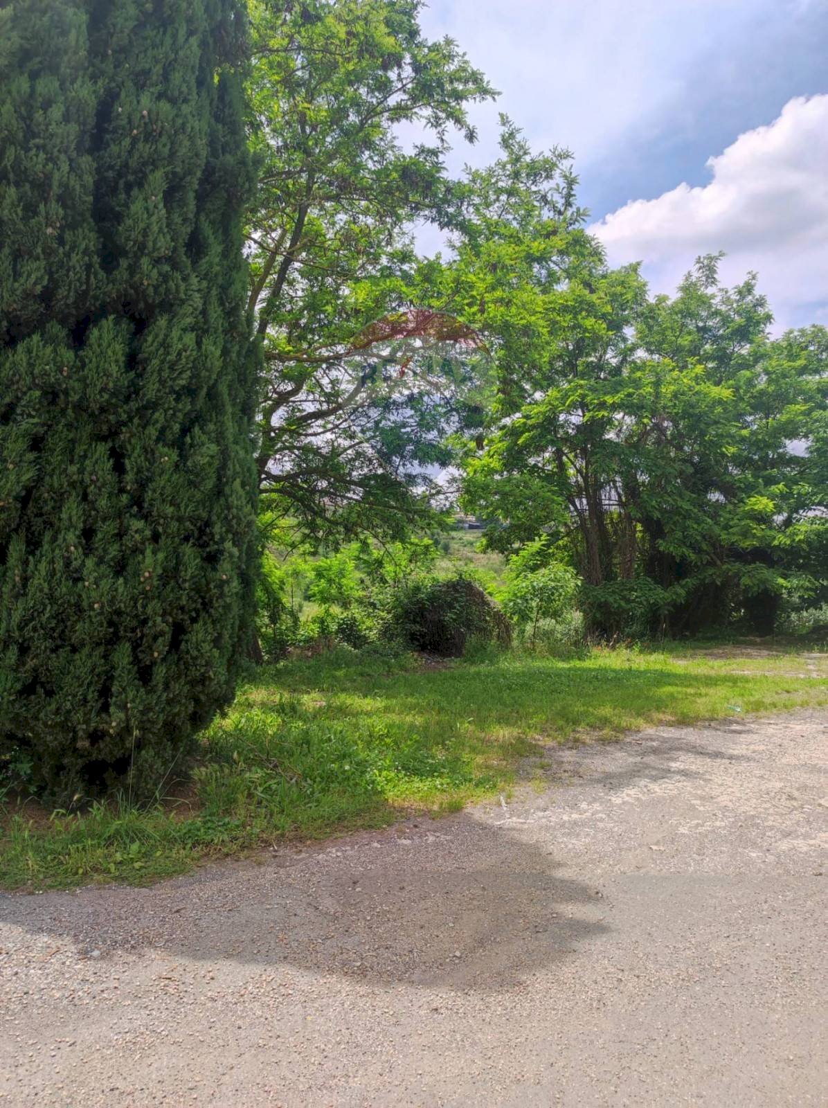 Terreno edificabile Fonte Nuova - foto 3