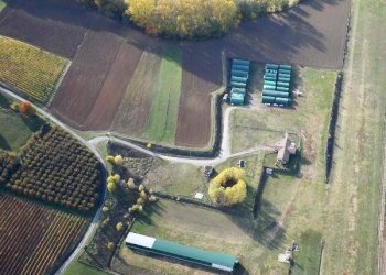 Attività Commerciale Strada Cascine Tinella, Costigliole d'Asti - foto 4