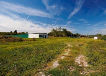 Attività Commerciale Strada Cascine Tinella, Costigliole d'Asti - foto 8