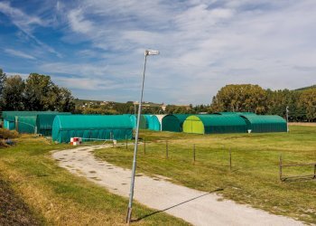 Attività Commerciale Strada Cascine Tinella, Costigliole d'Asti - foto 12