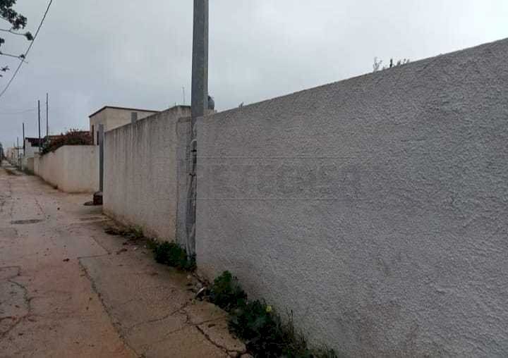 PHOTO-2024-09-23-11-15-03 - Copia.jpg - Terreno agricolo Mazara del Vallo - foto 2