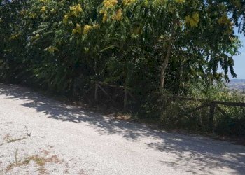 esterno - Laboratorio Castorano - foto 16