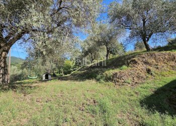 IN382_villa storica-bifamiliare in vendita con ter - Casa indipendente Via della Lobbia, La Spezia - foto 23