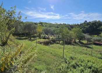 IN382_villa storica-bifamiliare in vendita con ter - Casa indipendente Via della Lobbia, La Spezia - foto 24