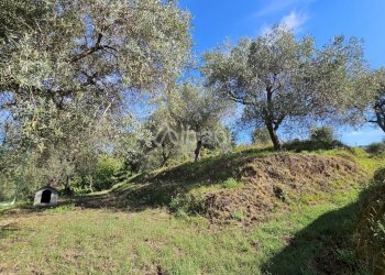 IN382_villa storica-bifamiliare in vendita con ter - Casa indipendente Via della Lobbia, La Spezia - foto 26