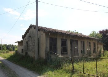 IMG_6109.JPG - Terreno edificabile Poviglio - foto 4