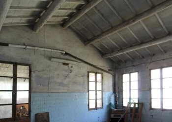 IMG_6069.JPG - Terreno edificabile Poviglio - foto 7